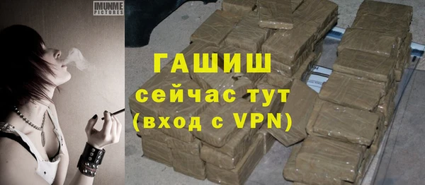 гидра Волоколамск
