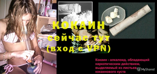 спиды Волосово