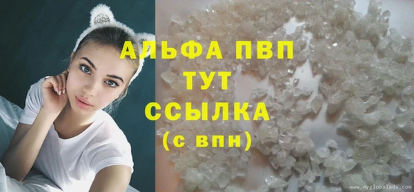 спиды Волосово